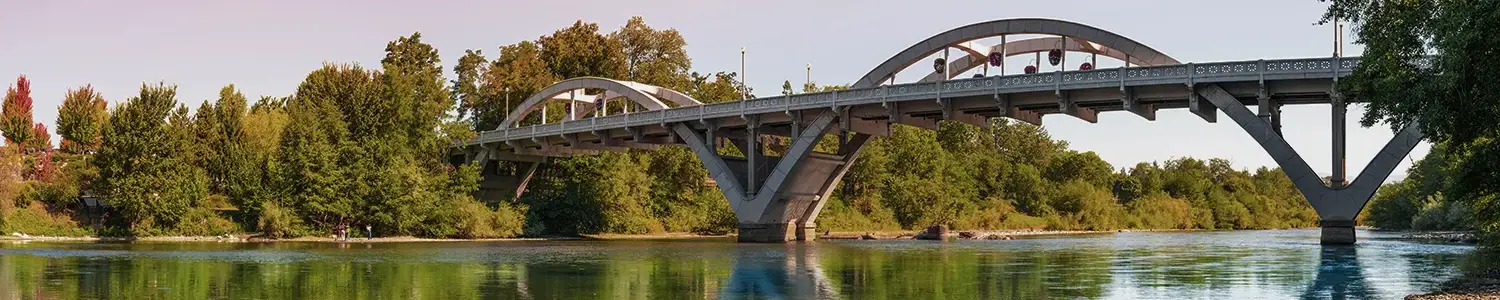 Banner image